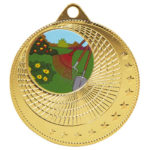 Circles Medal