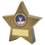 Resin Star Awards