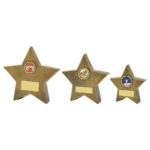 Resin Star Awards