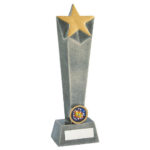 Antique Gold or Silver Star Column Award