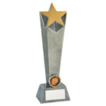 Antique Gold or Silver Star Column Award