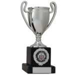 Silver Football Cup Trophy with a Marble Base