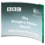 Jade Curve Glass Award