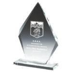 Crystal Iceberg Stand Award