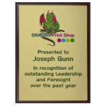 Wood Plaque Award with Colour Laminate Front