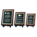 Presentation Corporate Plaque