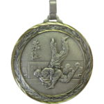 60mm Quality Martial Arts Medal