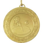 50mm Economy Laurel Wreath Football Shoot Medal