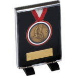 Small Free Standing Medal Case