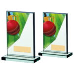 Colour Cricket Glass Trophy