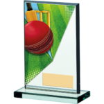 Colour Cricket Glass Trophy