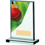 Colour Cricket Glass Trophy