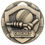 Cricket Shield Medal