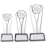 Contemporary Darts Crystal Award