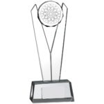 Contemporary Darts Crystal Award