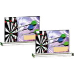 Darts Glass Printed Plaque