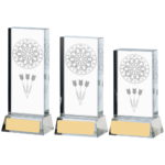 Sub Surface Engraved Darts Crystal Trophy