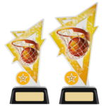 Basketball Acrylic Trophy