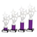 Purple Star Tubing Trophy