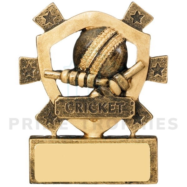 Mini Cricket Shield Trophy