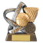 Twirl Team Star Netball Trophy