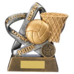 Twirl Team Star Netball Trophy