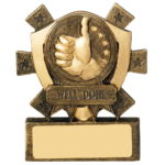 Mini Well Done Shield Trophy