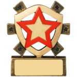 Mini House Colour Shield Trophy