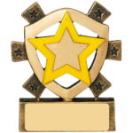 Mini House Colour Shield Trophy