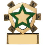 Mini House Colour Shield Trophy