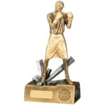 Gold Boxing Figure Trophy