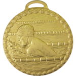 50mm Male Breaststroke Swimming Medal