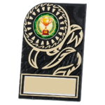 Rosette Plaque Black School Award