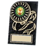 Rosette Plaque Black School Award