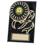 Rosette Plaque Black School Award