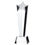 Optic Crystal Glass Star Award