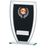 Curved Black Mirror Glass Trophy