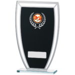 Curved Black Mirror Glass Trophy