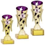 Gold & Purple Star Dance Cup