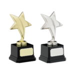 Diecast Metal Plated Star on Base