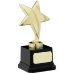 Diecast Metal Plated Star on Base