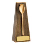 Resin Wooden Spoon Award