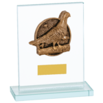 Pigeon Glass Trophy A