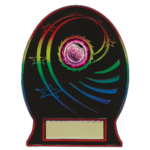 Rainbow Oval Star Plastic Plaque