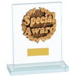 Special Award Glass Trophy