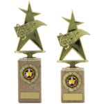 Music Star Trophy