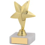 Gold Star Award