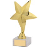 Gold Star Award