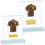 Quality Glass Football Shirt Trophy