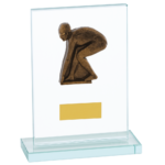 Quality Glass Male or Female Swimming Trophy A